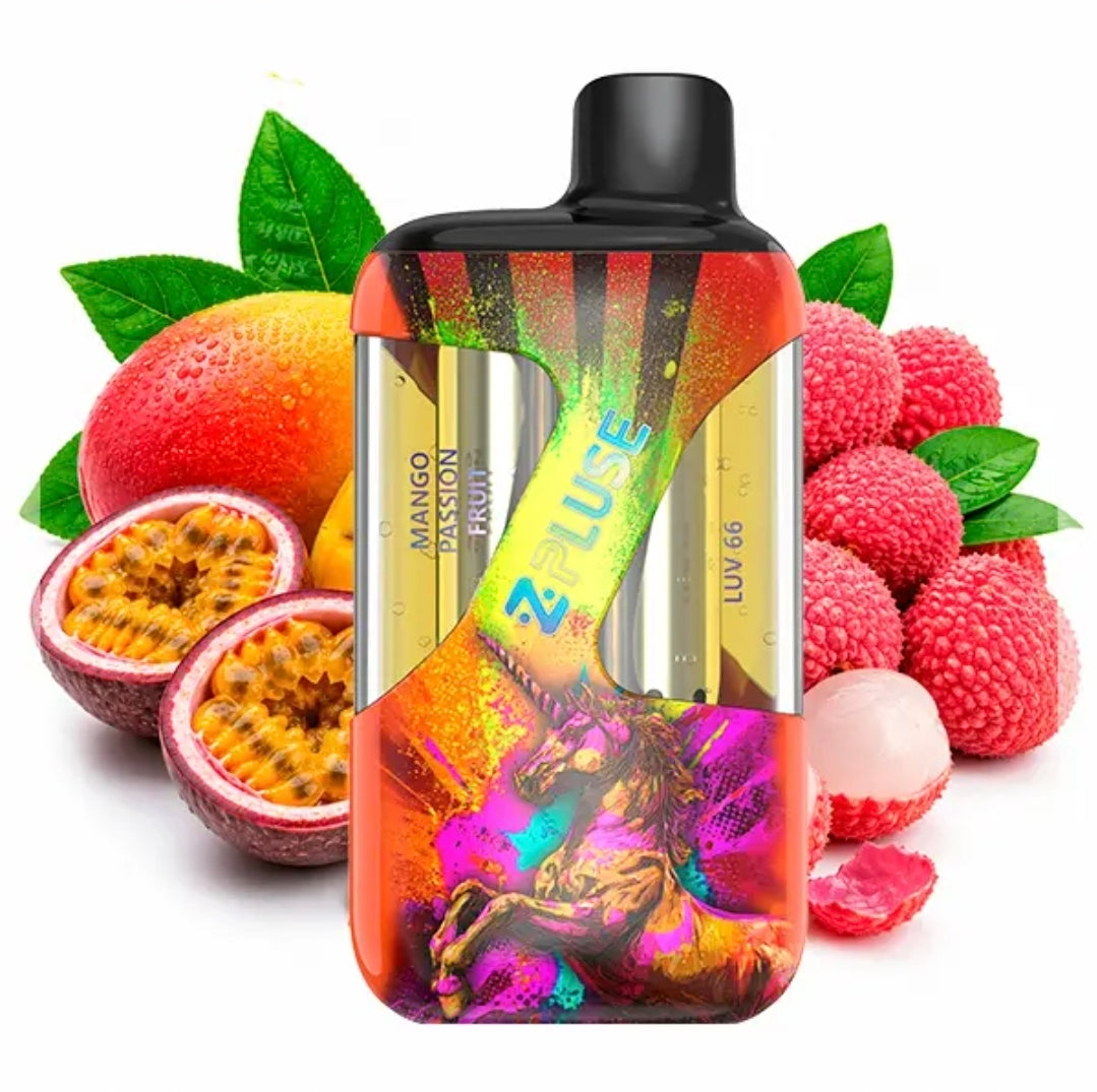 Puff rechargeable Zpluse 42K - Zpluse by JNR