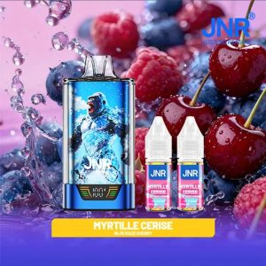 PUFF JNR GORILLA X 43K BLUE RAZZ CHERRY